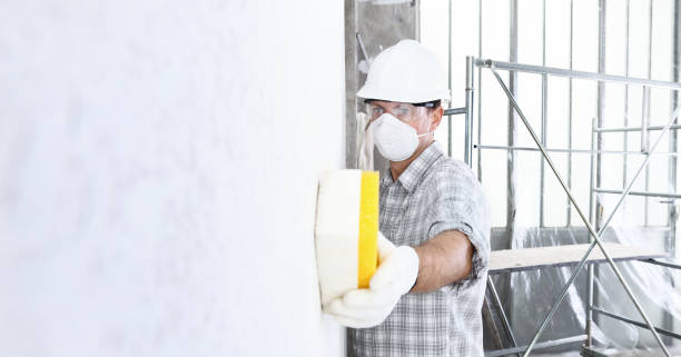 Best Commercial Mold Inspection in USA